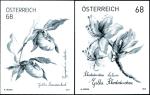 Schwarzdruck "Abo" Marken 2017 und 2018